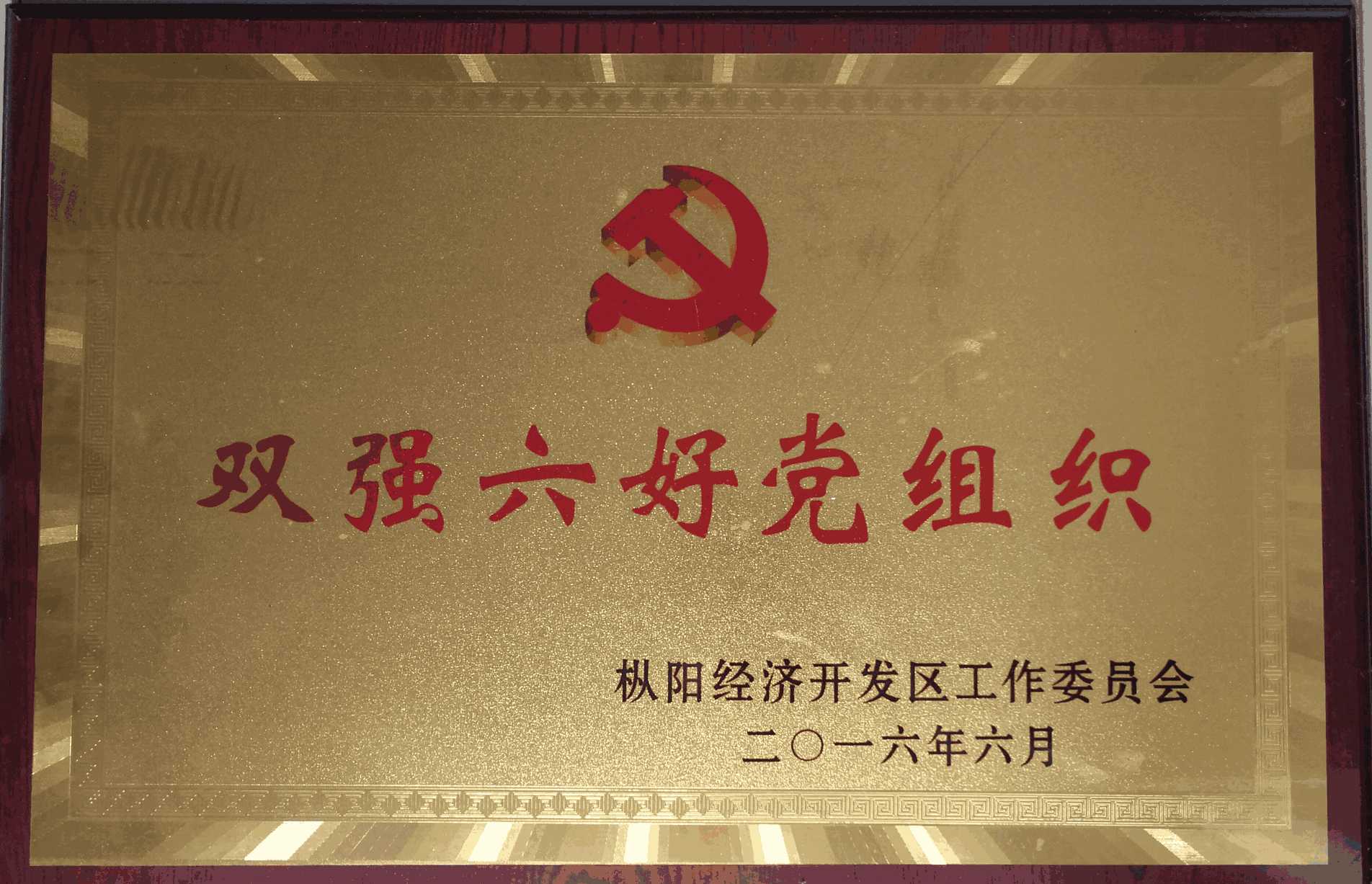2016双强六好党组织